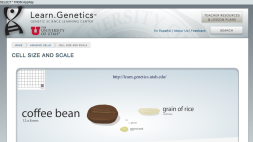 Screenshot of Cell Size and Scale