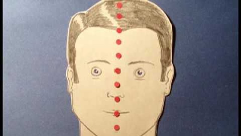 Screenshot of Locus Pocus