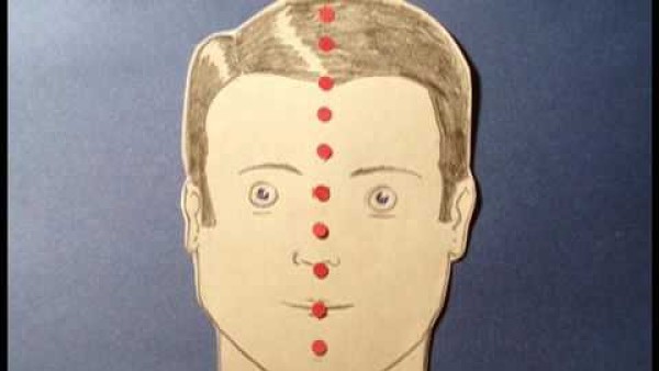 Screenshot of Locus Pocus