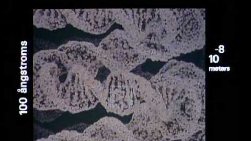 Screenshot of Powers of Ten