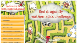 Screenshot of Red dragonfly mathematics challenge