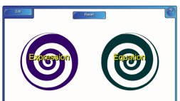 Preview of Equations v’s Expressions