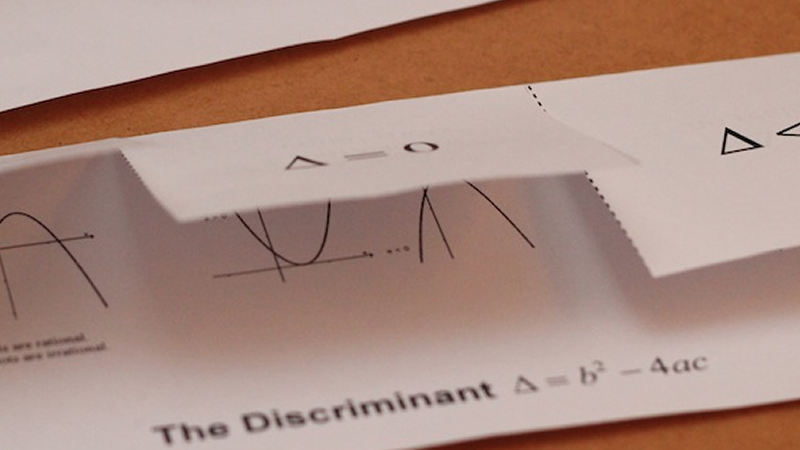 Preview of The Discriminant - Foldable