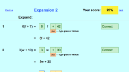 Preview of Expansion - electronic worksheet