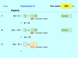 Preview of Expansion - electronic worksheet