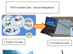 Preview of The Function Zoo : A lesson design to help students organise their knowledge about functions