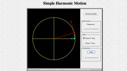 Screenshot of Simple Harmonic Motion