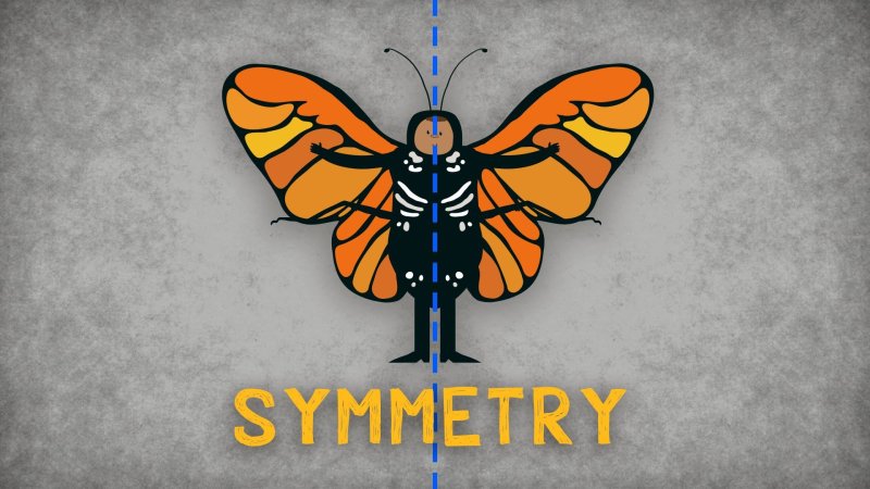 Screenshot of The science of symmetry - Colm Kelleher