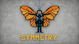 Screenshot of The science of symmetry - Colm Kelleher