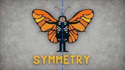 Screenshot of The science of symmetry - Colm Kelleher