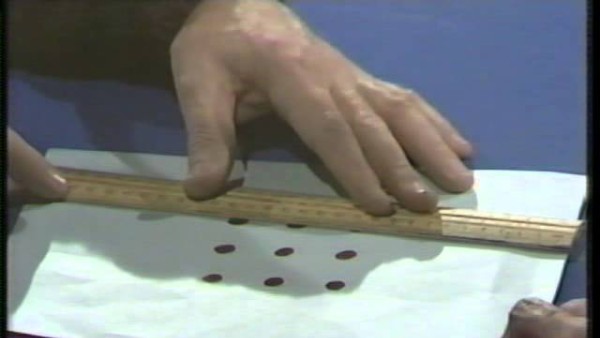 Screenshot of Dots and Lines Puzzle
