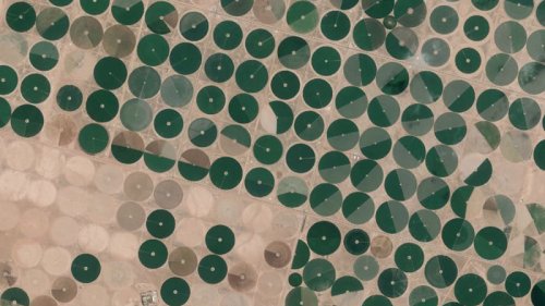 Screenshot of Daily Overview: Center pivot irrigation