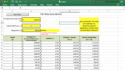 Preview of Loan Repayment Tables