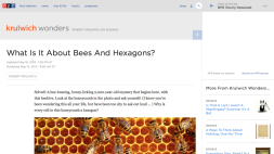 Screenshot of What Is It About Bees And Hexagons?