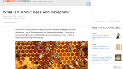 Screenshot of What Is It About Bees And Hexagons?
