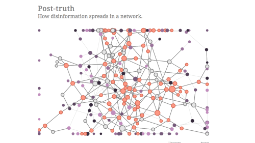 Screenshot of Post-truth - How disinformation spreads in a network