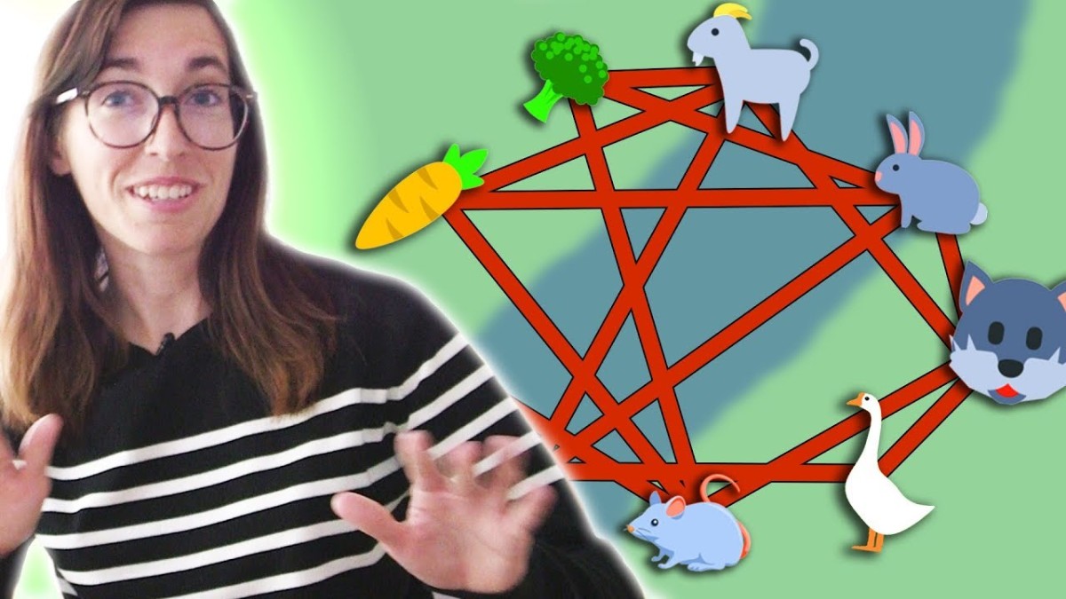 Screenshot of River crossings (and Alcuin Numbers)