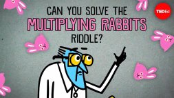 Screenshot of Can you solve the multiplying rabbits riddle?