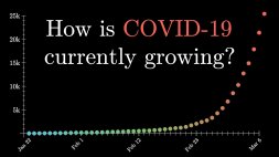 Screenshot of Exponential growth and epidemics