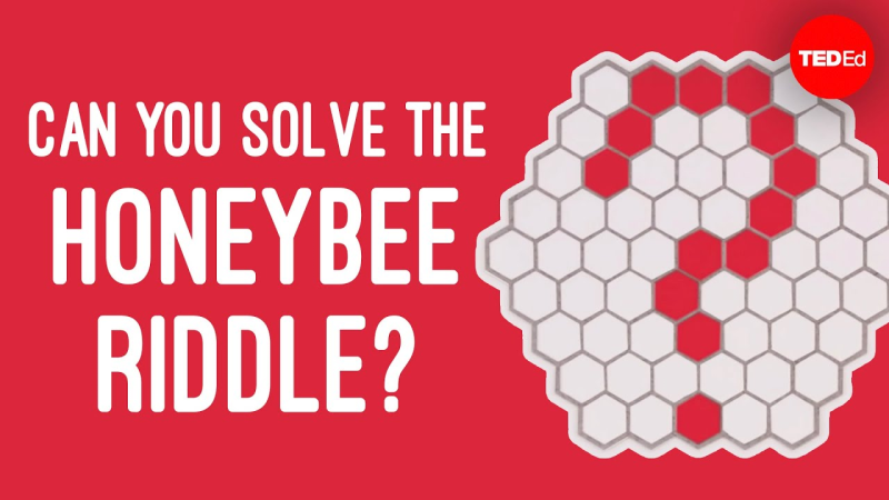 Graph And Bee Riddle Can you solve the honeybee riddle? - Dan Finkel - MathsLinks