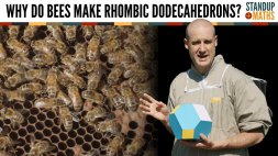 Screenshot of Why Do Bees Make Rhombic Dodecahedrons?