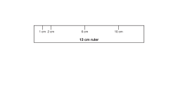 Preview of 13 cm ruler