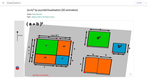 Screenshot of (a + b)² Visualisation